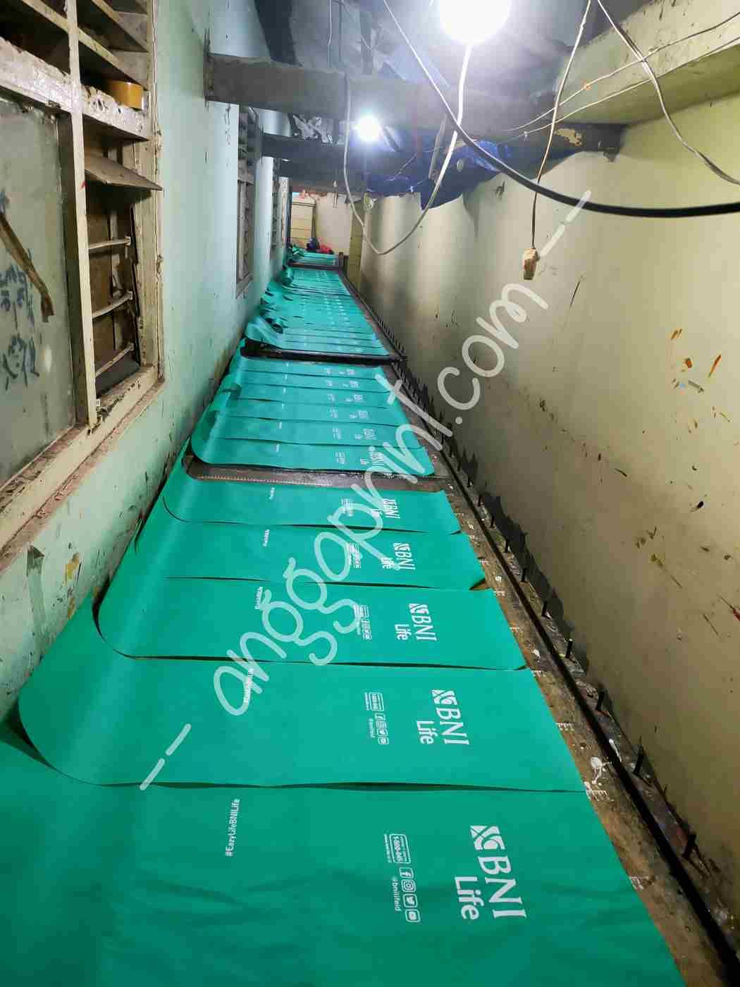 Custom Spunbond Printing Service, Eco-Friendly Promotional Bags, Precise Prints